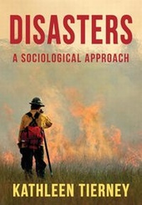 Enlarge image Cover: Disasters - Polity Press