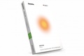 Cover: Deloitte iGAAP 2019: Financial Instruments: IFRS 9 & Related Standards - CCH
