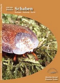 Abbildung von: Grundwissen Schaben - Sungaya-Verlag