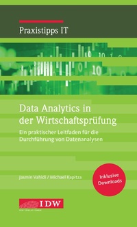 Bild vergrößern Bild: Data Analytics in der Wirtschaftsprüfung - IDW