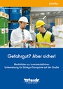 Cover: Gefahrgut? Aber sicher! - ecomed Storck