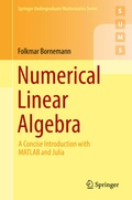 Cover: Numerical Linear Algebra - Springer