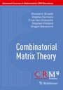 Cover: Combinatorial Matrix Theory - Birkhäuser