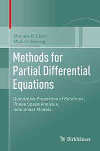 Enlarge image Cover: Methods for Partial Differential Equations - Birkhäuser