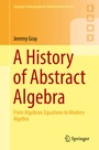 Cover: A History of Abstract Algebra - Springer