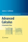 Cover: Advanced Calculus - Springer