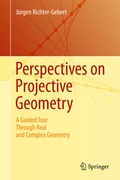 Cover: Perspectives on Projective Geometry - Springer