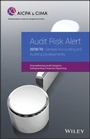 Cover: Audit Risk Alert: General Accounting and Auditing Developments 2018/19 - Wiley