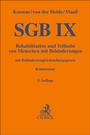 Cover: SGB IX - C.H.BECK