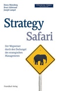 Cover: Strategy Safari - FinanzBuch