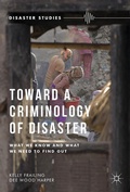 Cover: Toward a Criminology of Disaster - Palgrave MacMillan