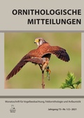 Abbildung von: Ornithologische Mitteilungen - Dr.-Walther-Thiede-Stiftung