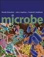 Cover: Microbe - American Society for Microbiology