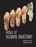 Cover: Atlas of Human Anatomy - Wiley