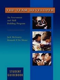 Enlarge image Cover: The Team Developer - Wiley