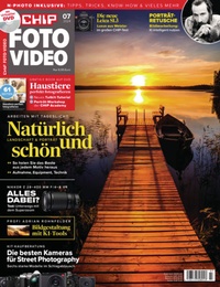 Abbildung von: CHIP Foto-Video mit DVD - Five Monkeys Media