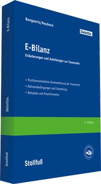 Bild vergrößern Bild: E-Bilanz - Stollfuß