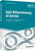 Bild: Agile Mitbestimmung im Betrieb  - Haufe-Lexware
