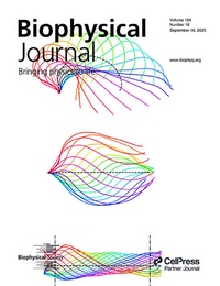 Abbildung von: Biophysical Journal - Elsevier