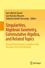 Cover: Singularities, Algebraic Geometry, Commutative Algebra, and Related Topics - Springer