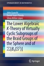 Cover: The Lower Algebraic K-Theory of Virtually Cyclic Subgroups of the Braid Groups of the Sphere and of ZB4(S2) - Springer