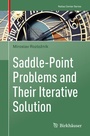 Cover: Saddle-Point Problems and Their Iterative Solution - Birkhäuser