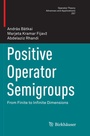 Cover: Positive Operator Semigroups - Birkhäuser