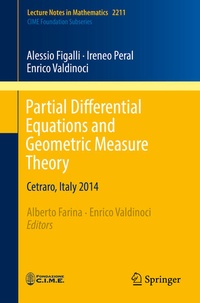 Enlarge image Cover: Partial Differential Equations and Geometric Measure Theory - Springer