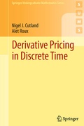 Cover: Derivative Pricing in Discrete Time - Springer