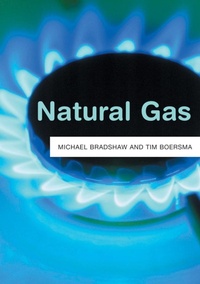 Enlarge image Cover: Natural Gas - Polity Press