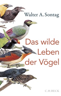 Abbildung von: Das wilde Leben der Vögel - C.H.BECK
