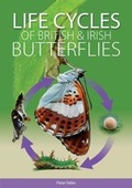 Cover: Life Cycles of British and Irish Butterflies - Pisces Publications