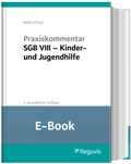 Abbildung von: Praxiskommentar SGB VIII - Kinder- und Jugendhilfe (E-Book) - Reguvis Fachmedien