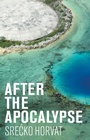 Cover: After the Apocalypse - Polity Press