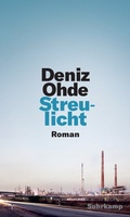 Cover: Streulicht - Suhrkamp