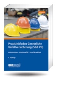 Abbildung von: Praxisleitfaden Gesetzliche Unfallversicherung (SGB VII) - ecomed Storck