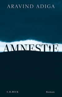 Abbildung von: Amnestie - C.H.BECK