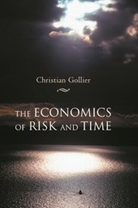 Enlarge image Cover: The Economics of Risk and Time - MIT Press