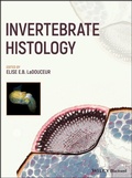 Bild: Invertebrate Histology - Wiley-Blackwell