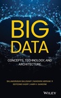 Cover: Big Data - Wiley-Blackwell