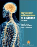 Cover: Neuroanatomy and Neuroscience at a Glance - Wiley-Blackwell