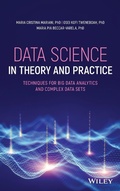 Cover: Data Science in Theory and Practice: Techniques for Big Data Analytics and Complex Data Sets - Wiley-Blackwell