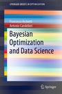 Cover: Bayesian Optimization and Data Science - Springer
