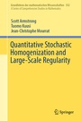 Cover: Quantitative Stochastic Homogenization and Large-Scale Regularity - Springer