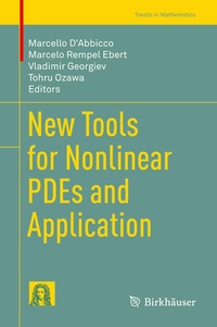 Enlarge image Cover: New Tools for Nonlinear PDEs and Application - Birkhäuser