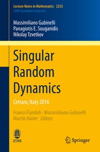 Enlarge image Cover: Singular Random Dynamics - Springer