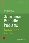 Cover: Superlinear Parabolic Problems - Birkh&auml;user