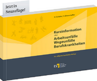 Abbildung von: Kurzinformation über Arbeitsunfälle, Wegeunfälle, Berufskrankheiten - Erich Schmidt Verlag