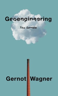 Enlarge image Cover: Geoengineering: The Gamble - Polity Press