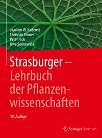 Enlarge image Cover: Strasburger - Lehrbuch der Pflanzenwissenschaften - Springer Spektrum